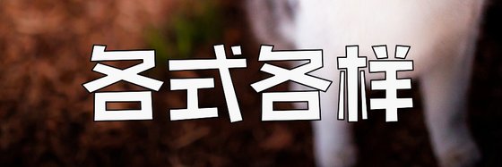 各式各樣♡走心的書單2018